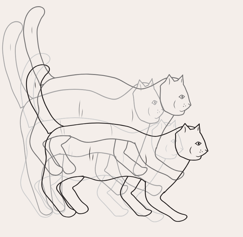 Four poses of the cat's jump layered from faint to dark: crouch, push-off, top of the arc with legs tucked, and landing.